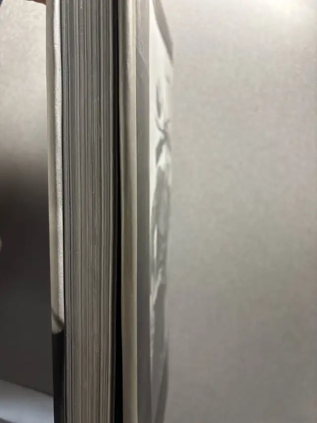 Elvis at 21 - Photo 4