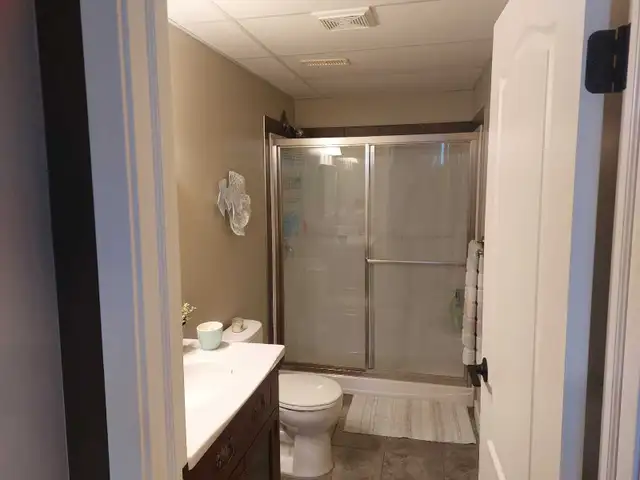 Fully Furnished Basement for Rent - May 1 - Photo 4