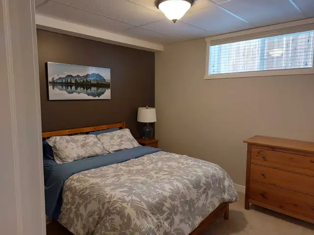 Fully Furnished Basement for Rent - May 1 - Photo 6