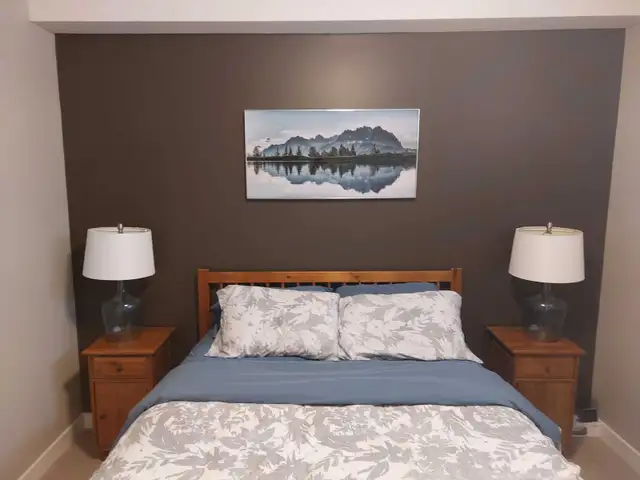 Fully Furnished Basement for Rent - May 1 - Photo 7