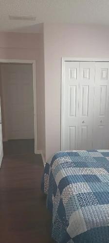 Basement Suite | Access to High End Kitchen | All Inclusive - Photo 5