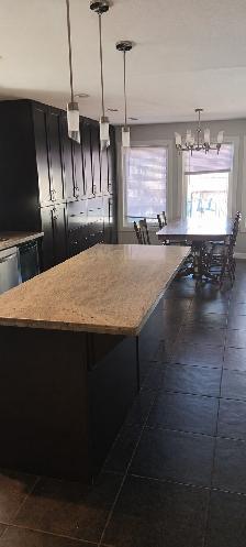 Basement Suite | Access to High End Kitchen | All Inclusive - Photo 6