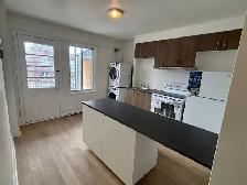 SUPERBE 3 ½ RÉNOVÉ – VILLERAY | DISPONIBLE MAINTENANT