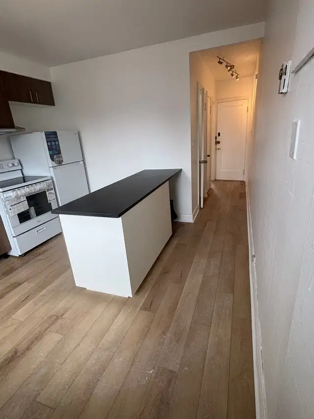 SUPERBE 3 ½ RÉNOVÉ – VILLERAY | DISPONIBLE MAINTENANT - Photo 2