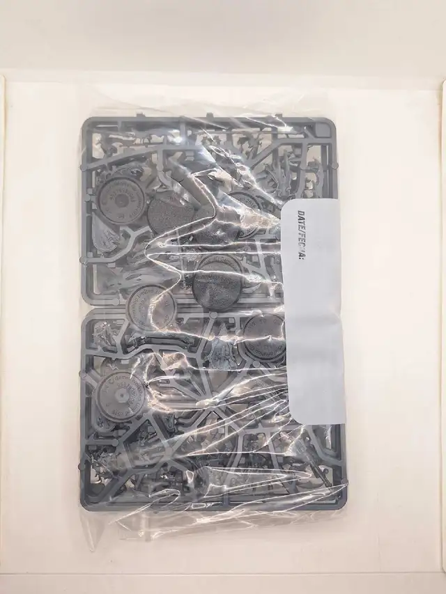 Warhammer AoS Soulblight Gravelords 10 NoS Barrow Guard