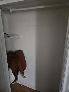 Private Room for Rent - Photo 4