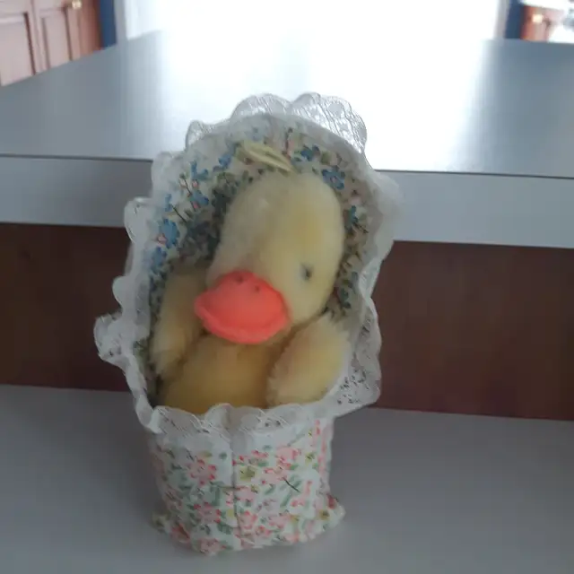 2 BEAUX CANARDS NEUFS MIGHTY STAR, 6'HAUT CHACUN: $5.00 CHACUN - Photo 2