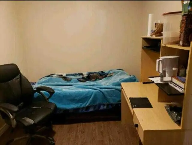 Excellent Room- McMaster Hamilton Now - Photo 4