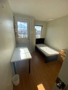 York university village rooms for rent