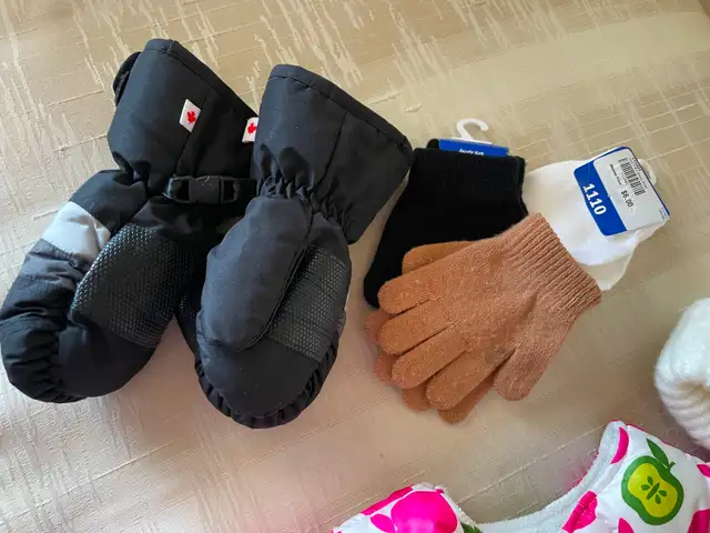 Lovely Girls’ winter  gloves, hat, and cute puffer vest - Photo 2