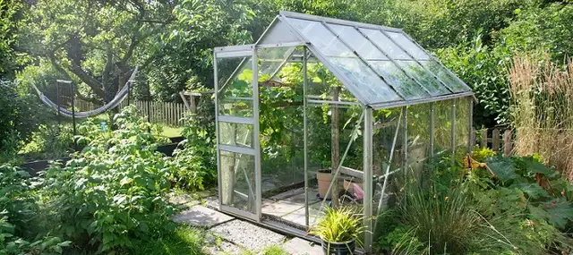 Compact 6x6x7 Walk-In Greenhouse