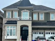 Oakville Newly Reno Basement Apt- Dundas & Trafalgar