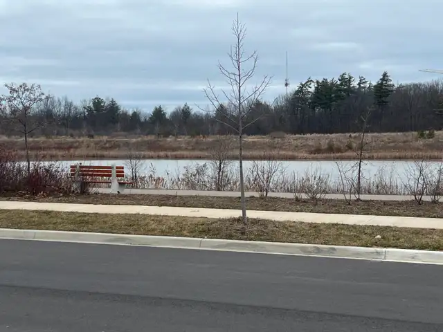 Oakville Newly Reno Basement Apt- Dundas & Trafalgar - Photo 10