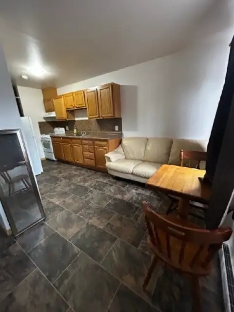 Fully Furnished 1-Bedroom Units - Photo 5