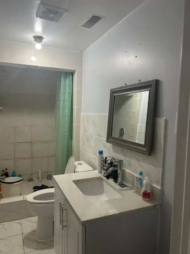 WALKOUT BASEMENT APARTMENT FOR RENT - Photo 3