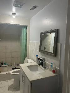 WALKOUT BASEMENT APARTMENT FOR RENT - Photo 3