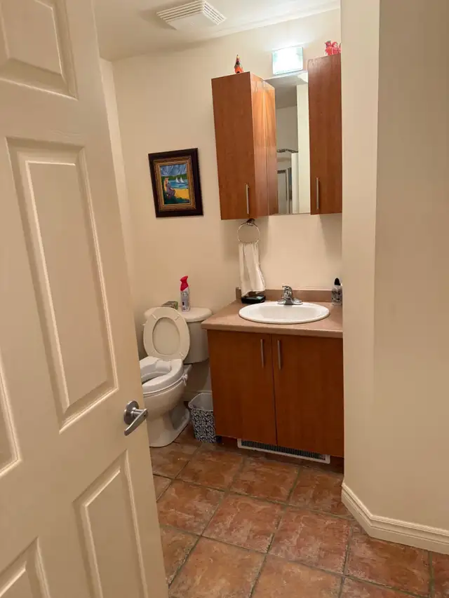 BLAINVILLE 4 1/2 À LOUER - Photo 9