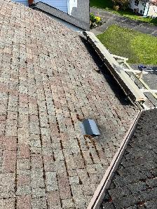 Roof & Gutter Cleaning, Moss Removal, Pressure Washing - Photo 2