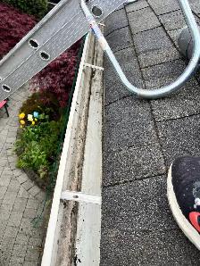 Roof & Gutter Cleaning, Moss Removal, Pressure Washing - Photo 4