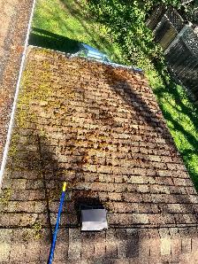 Roof & Gutter Cleaning, Moss Removal, Pressure Washing - Photo 5