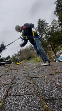 Roof & Gutter Cleaning, Moss Removal, Pressure Washing - Photo 7