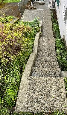 Roof & Gutter Cleaning, Moss Removal, Pressure Washing - Photo 8