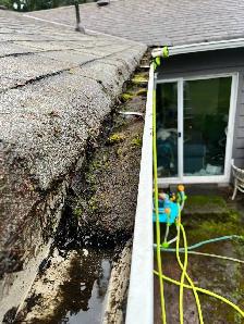 Roof & Gutter Cleaning, Moss Removal, Pressure Washing - Photo 9