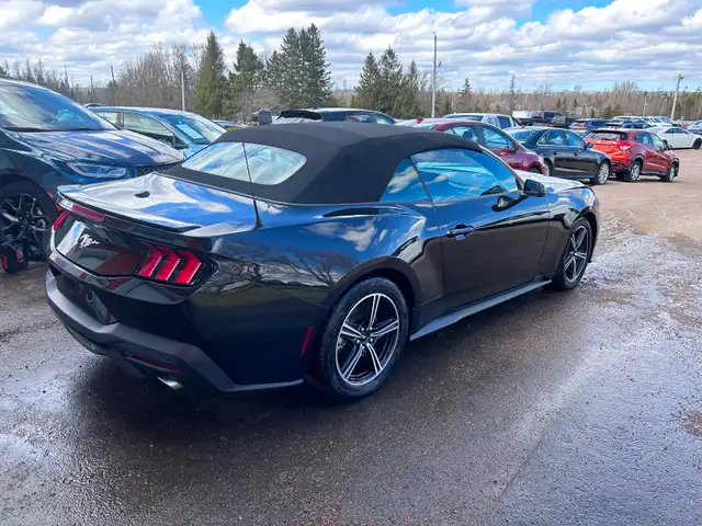 2025 Ford Mustang Convertible - Photo 3