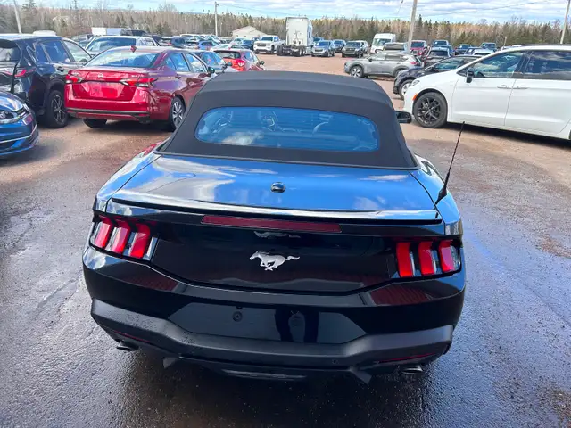 2025 Ford Mustang Convertible - Photo 4