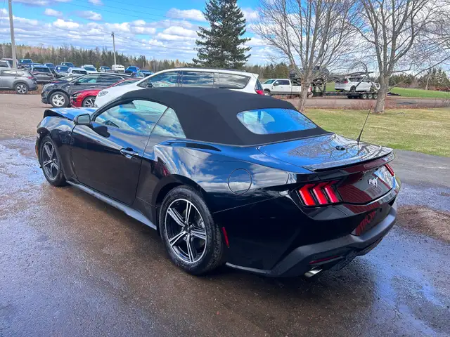 2025 Ford Mustang Convertible - Photo 5