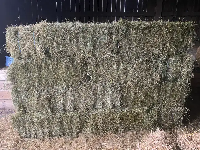 1st Cutting in Small Square Bales! Delivery