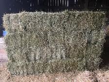 1st Cutting in Small Square Bales! Delivery