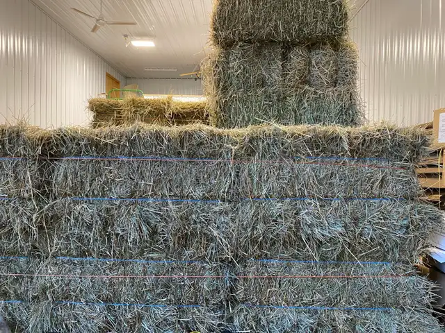 1st Cutting in Small Square Bales! Delivery - Photo 2