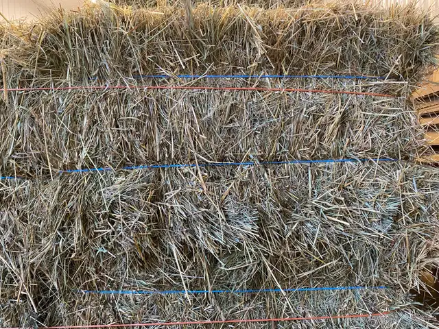 1st Cutting in Small Square Bales! Delivery - Photo 3