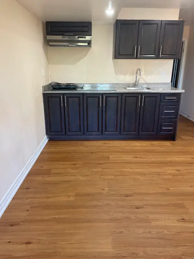 Walkout basement for rent - Photo 3