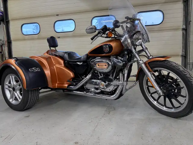 2008 Harley Sportster 1200 with CSC kit - Photo 3