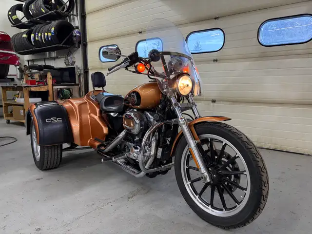 2008 Harley Sportster 1200 with CSC kit - Photo 5