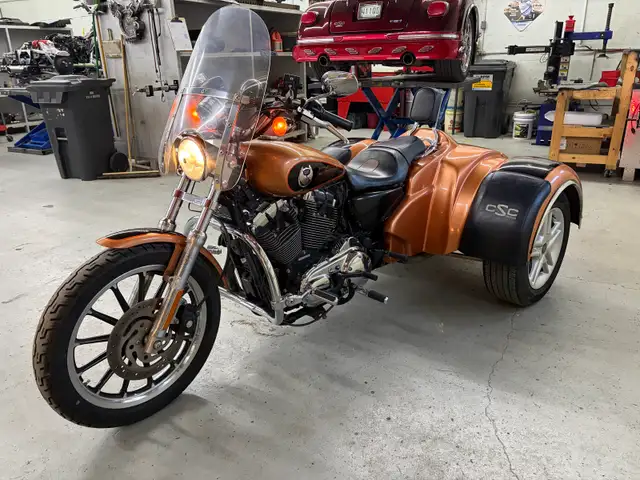 2008 Harley Sportster 1200 with CSC kit - Photo 6