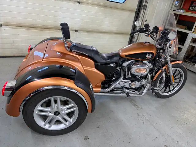 2008 Harley Sportster 1200 with CSC kit - Photo 7