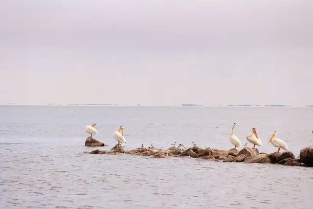 Our Retirement Journey Begins at Old Town Harbour! - Photo 3