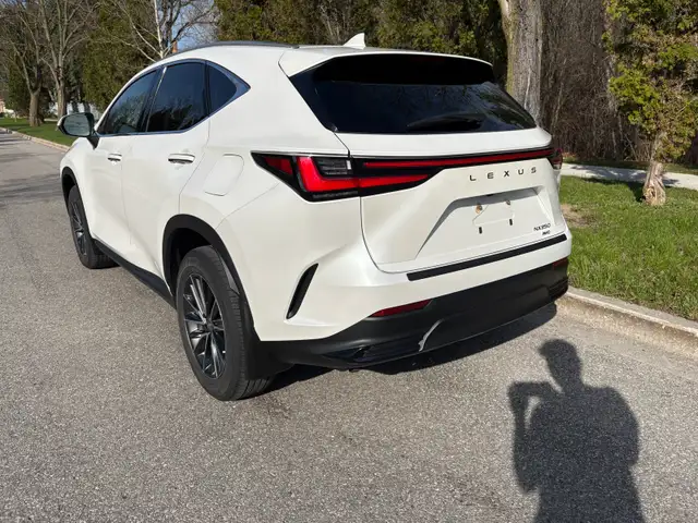 2022 Lexus NX250 - Photo 4