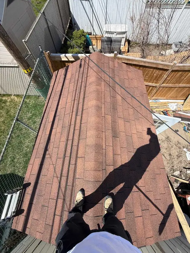 Pose de bardeaux d'asphalte pour cabanon - Photo 3