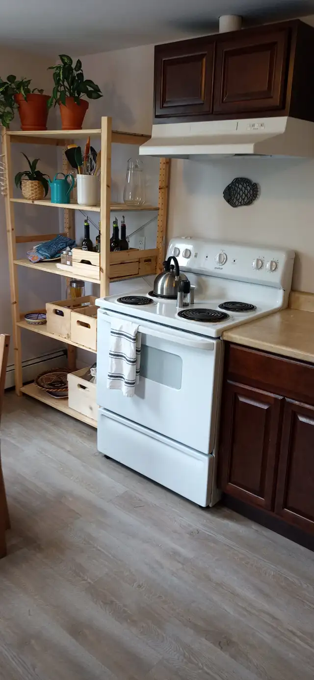 Avail June 1st New Reno Large One BR Apt & Balcony Quinpool Rd - Photo 8