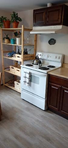 Avail June 1st New Reno Large One BR Apt & Balcony Quinpool Rd - Photo 8