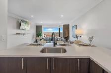 Executive 1-Bedroom suite! Incentives Available! - Photo 16