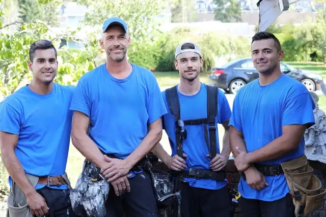 Windows Doors — Call Now Before Spots Fill - Photo 2