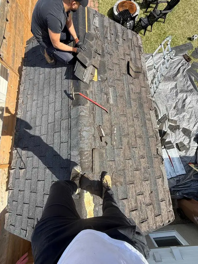 Toiture cabanon bas prix (Hommes d'expérience)