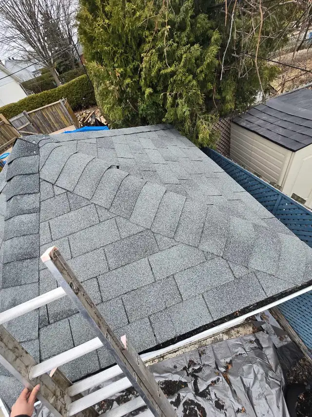 Toiture cabanon bas prix (Hommes d'expérience) - Photo 6