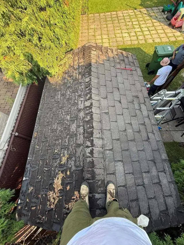 Toiture pour cabanon / pose de bardeaux - Photo 5