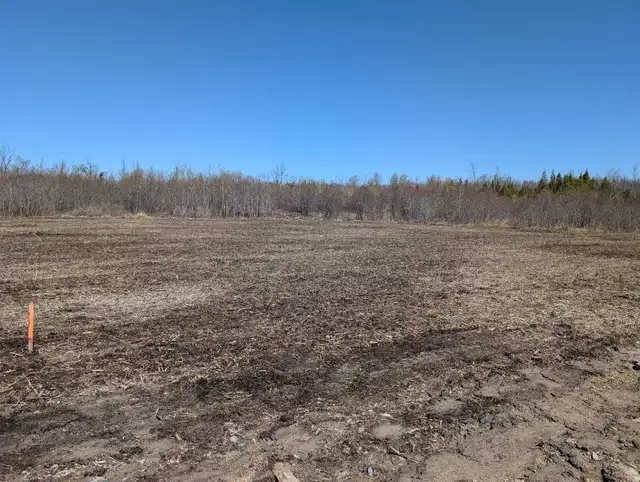 Rural 2 Acre Serviced Property - Photo 3